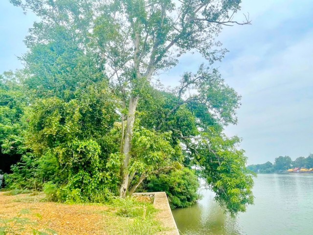 ที่ดินริมแม่น้ำแม่กลอง  2 ไร่ 110 ตร.ว.3,640 ตร.ม. ใกล้วัดหลุมดิน 350 ม. ใกล้รพ.สต.หลุมดิน 400 ม. 