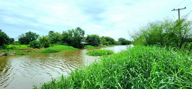 ขายที่ดินติดคลอง 1 ไร่กว่า องครักษ์ คลอง 25 หลัง มศว หน้าน้ำวิวสวย ด้านหน้าติดถนนคอนกรีต เหมาะปลูกบ้านสวน อยู่ยามเกษียณ ทำรีสอร์ท