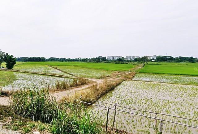 2 ขาย ที่ดิน ที่ดิน พิจิตร ชั้นที่ 1 พิจิตร    ใกล้กับ สถานีรถไฟพิจิตร 880000 บาท