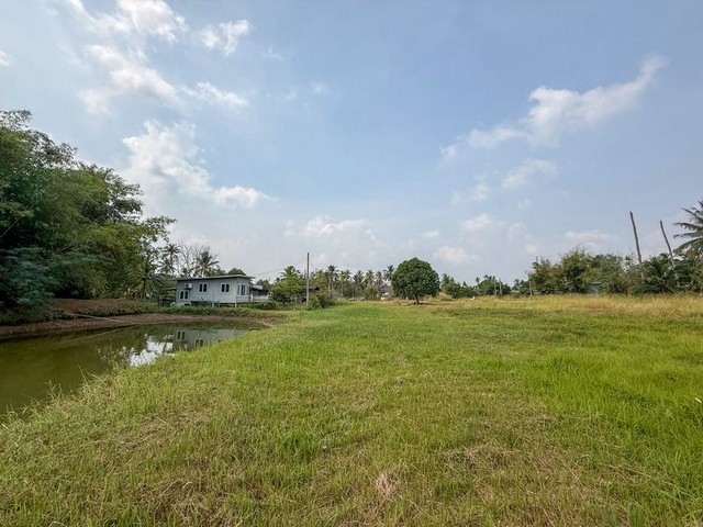 ขายที่ดินติดลำธาร ทำเลคุณภาพ บ้านโค้งดารา - หนองขาม ศรีราชา TP-L1904