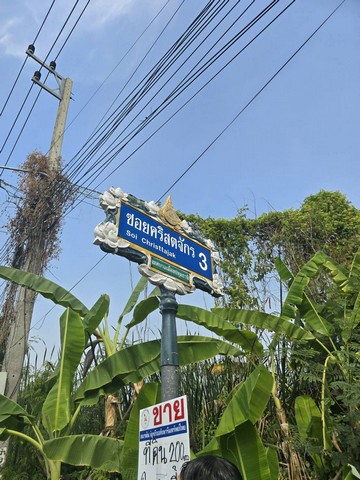 ID :  - ขายด่วน ที่ดิน -  23000 THB ไม่ไกลจาก โรงเรียนปทุมวิไล ศาลากลางปทุมธานี โลตัสปทุมธานี โรงพยาบาลปทุมธานี อยู่ย่านใจกลางเมืองปทุม เขตชุมชน เดินทางสดวกสบาย