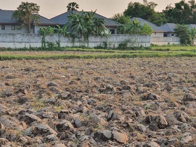 ขายที่ดินแปลงยาวฉะเชิงเทรา ที่ดิน 11 ไร่ 56 ตารางวา พื้นที่สีเหลือง ห่างจากนิคมอุตสาหกรรมเกตเวย์ 15 นาที (7-8 กม)