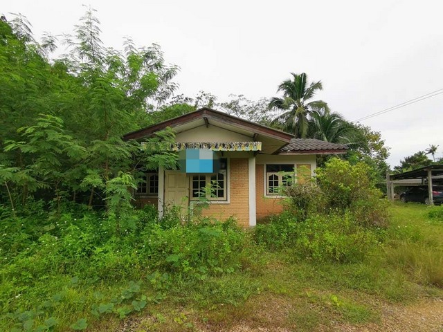 ขายบ้านเดี่ยว  ถนนเหนือคลอง-ชัยบุรี  อำเภอเขาพนม  กระบี่