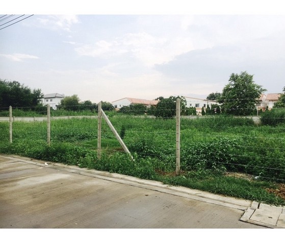 ขาย ที่ดินเปล่า แยก บางสีทอง ขนาด 317 ตารางวา ถนน.นครอินทร์ ต.บางสีทอง อ.บางกรวย 