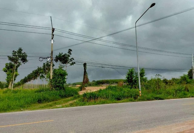 ขายที่ดิน  24 ไร่  มาบข่า  นิคมพัฒนาระยอง  ที่ดินผังสีม่วงลาย   ZT906 