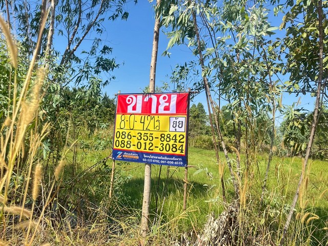 ขายที่ดิน 8-0-42 ไร่  ตะเคียนเตี้ย  บางละมุง   ใกล้สวนพระพิฆเนศ   ZT865 