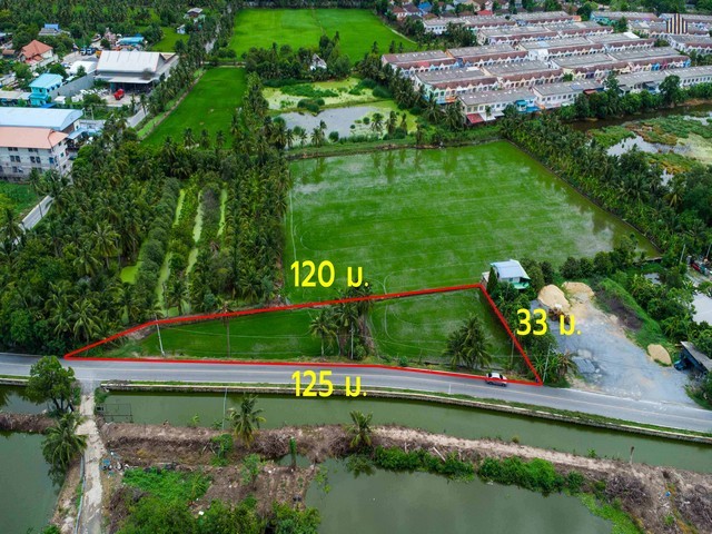 ขายด่วน! ที่ดินติดถนน 1 ไร่ 47 ตร.วา หน้ากว้างติดถนนถึง 120 เมตร ทำเลดีเข้า-ออกได้ทั้งพุทธมณฑลสาย 4 และพุทธมณฑลสายสาย 5 เพียง 1.5 กิโลเมตร