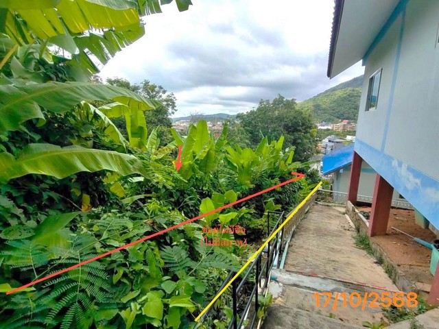 ขายที่ดินเมืองภูเก็ต ถนน โคกโตนด  ราคาโปรโมชั่น เนื้อที่ 	0-1-65.10 ไร่