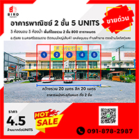 HOT SALE อาคารพาณิชย์ 2 ชั้น 5 Units 3 ห้องนอน 3 ห้องน้ำ พื้นที่โดยรวม 2 ชั้น 800 ตารางเมตร