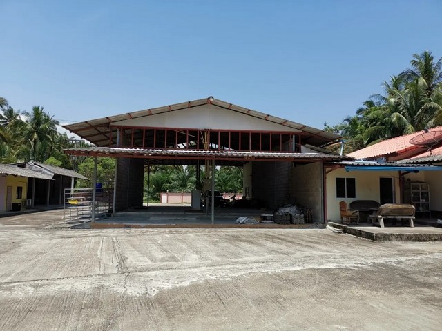 ขาย โกดัง บางสะพาน ถนน สายท่าหล่อ-หนองระแวง ประจวบคีรีขันธ์