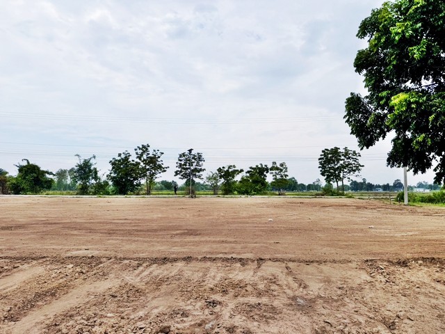1 ขาย ที่ดิน ที่ดินใกล้ถ.ลาดยาง 2แสน฿ 200 ตรว. ใกล้ชุมชน หนองหญ้าไซ สุพรรณบุรี T.o86-3ol-6l6l สุพรรณบุรี    200 ตร.วา