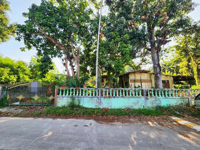 ขายบ้านเดี่ยว ซอยโรงเรียนเหนือคลองประชาบำรุง อำเภอเหนือคลอง  กระบี่