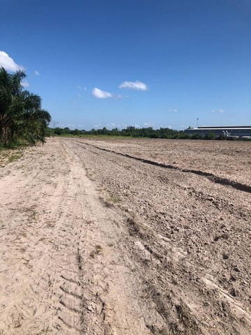 ขายที่ดินบ้านบึงชลบุรี เสนอขายที่ดิน 49-3-38.1 ไร่ ผัง สีเหลืองอ่อน ด้านข้างติดโรงงาน ที่ดินรูปแปลงสวย พื้นเสมอ ไม่ต้องถม