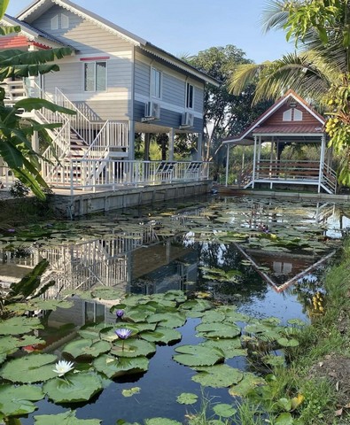 บ้านชั้นเดียว โครงการกนกกุล 3 คลอง 14 ปทุมธานี บ้านพร้อมอยู่ บรรยากาศเงียบสงบ พื้นที่กว้าง เหมาะสำหรับอยู่อาศัยหรือพักผ่อน