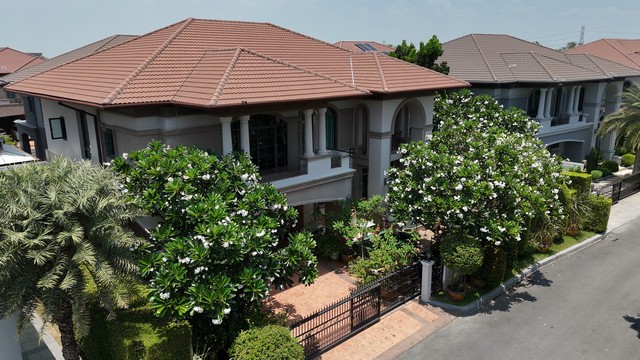 เดอะ แกรนด์ ปิ่นเกล้า The Grand Pinklao 141 ตรว 475 ตรม สุดคุ้มซื้อไปกำไรทันที ถูกสุด