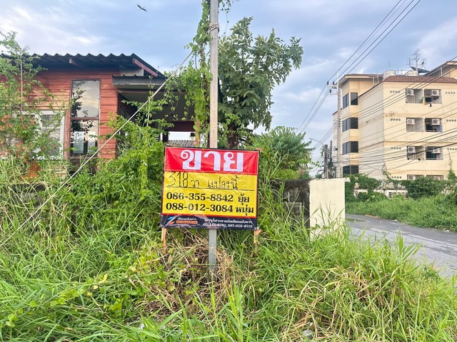 ขายที่ดิน 318 ตารางวา  ร่มเกล้า25/6  ซอยร่มสุข  เชื่อมต่อถนนลาดกระบัง ถนนสายมอเตอร์เวย์    ZT909 
