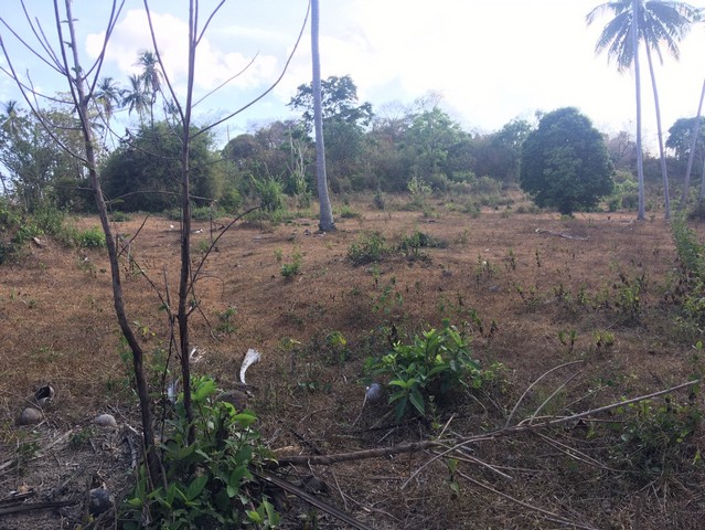 ที่ดิน ที่ดิน หาดหน้าทอน เกาะสมุย  33268500 บาท ใกล้ ห่างหาดหน้าทอน 1.5 กม. และห่างท่าเรือซีทรานเฟอร์รี่ ประมาณ 2 กม.  ราคา - ดี ที่ดินสวนมะพร้าว อยู่ติดถนน แปลงมุม มีน้ำ และมีไฟฟ้าเข้าถึงที่ดิน (พร้อมนำไปพัฒนาต่อได้เลย)