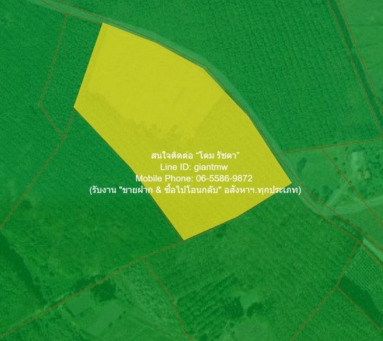 พื้นที่ดิน ขายที่ดินทางการเกษตรแปลงใหญ่ อ.ภูเรือ จ.เลย 18-2-64 ไร่ ราคา 5.59 ล้านบาท ขนาดเท่ากับ 26 ตาราง.วา 2 ngan 18 Rai  5590000 บาท น่าอยู่ใกล้สิ่งอำนวยความสดวก