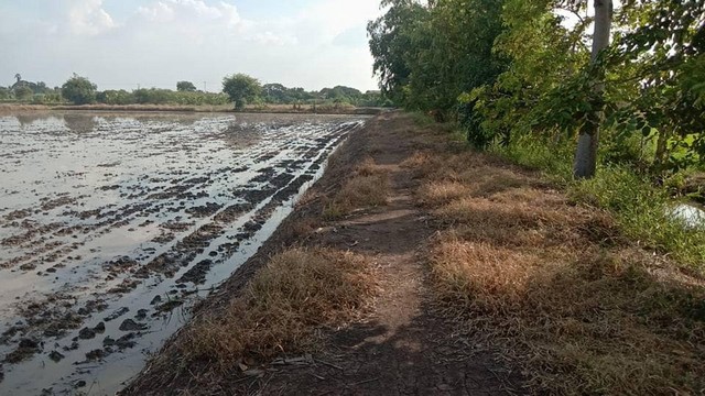 เข้าพรรษาหาทรัพย์ดีประดับบารมี  ที่ดิน ลาดหลุมแก้ว   บ่อเงินปุทม ใ5ไร่  อำเภอลาดหลุมแก้ว ปทุมธานี ลาดหลุมแก้วไร่ละ 1ลบ. โทร 083-7124115