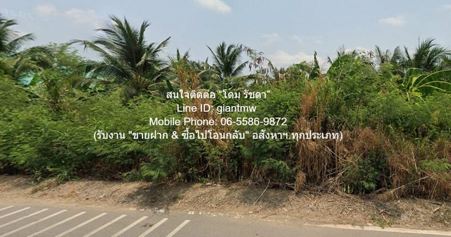 DSL-1357 ขาย ที่ดิน ที่ดินผังสีม่วง ต.คลองมะเดื่อ อ.กระทุ่มแบน จ.สมุทรสาคร 2 ไร่ 800 ตารางวา สมุทรสาคร    กระทุ่มแบน    12000000 บาท ใกล้กับ ห่างถนนสายใยรักกระทุ่มแบน 850 ม.