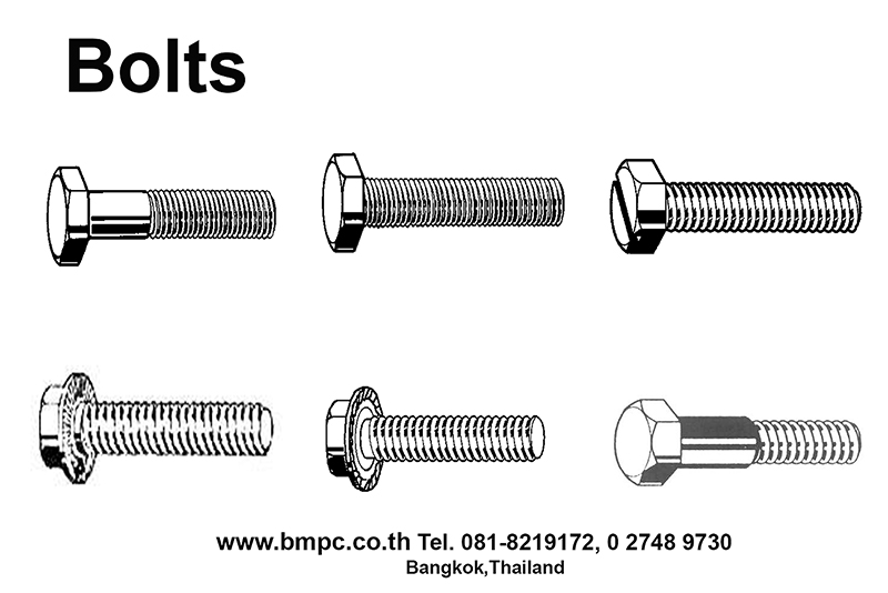 Hexagon head bolt, Bolt with flange, Shoulder screw, Set screw, screw plug, thin nut, lock nut, Castle nut, Locking disc spring, tab washer, e-ring, shim ring, bonded seal