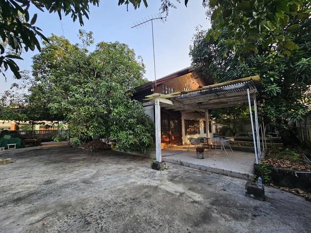 ให้เช่าบ้านเดี่ยว2ชั้นพร้อมที่ดิน202ตรว.แปลงมุมวชิรธรรมสาธิต23ใกล้ร้านส้มตำคุณกัญจ์