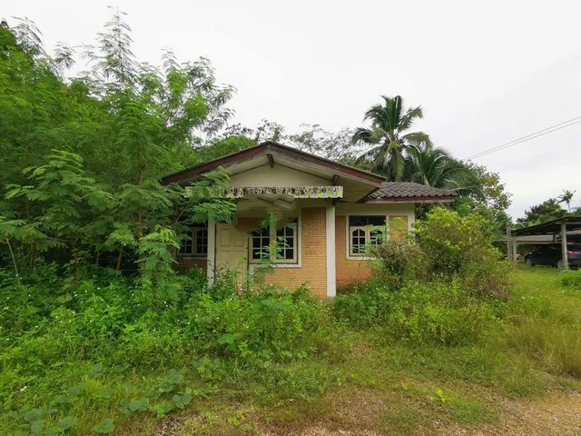 ขาย บ้านเดี่ยว  เขาพนม  ถนน เหนือคลอง-ชัยบุรี กระบี่ 