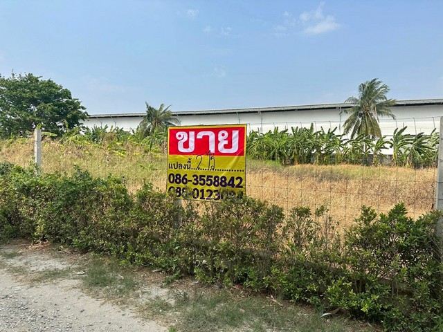 ขายที่ดิน 400 ตารางวา  ซอยกิ่งแก้ว25/1   ราชาเทวะ  บางพลี     ZT913 