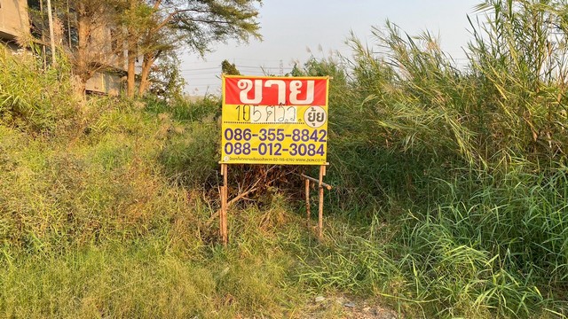 ขายที่ดิน 105 ตารางวา หลังเมกาบางนา ฝั่งคอนโดอารียา  บางพลีใหญ่   