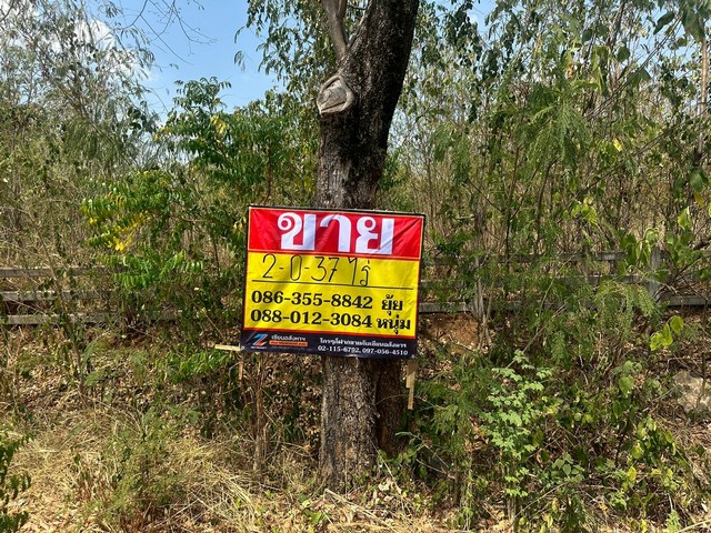 ขายที่ดิน 2-0-37 ไร่  ในโครงการปาล์ม วัลเลย์ คาเฟ่ แอนด์ ฟาร์ม  คำพราน วังม่วง สระบุรี