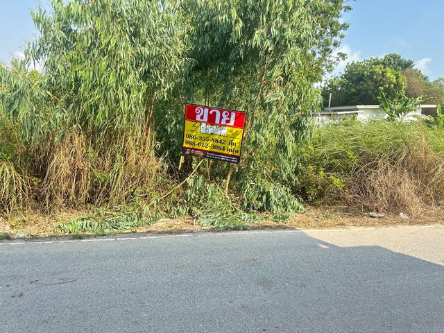 ขายที่ดิน  3-1-63 ไร่   ซอยเนินพระ 3/1  ชุมชนกรอกยายชา   เมืองระยอง 