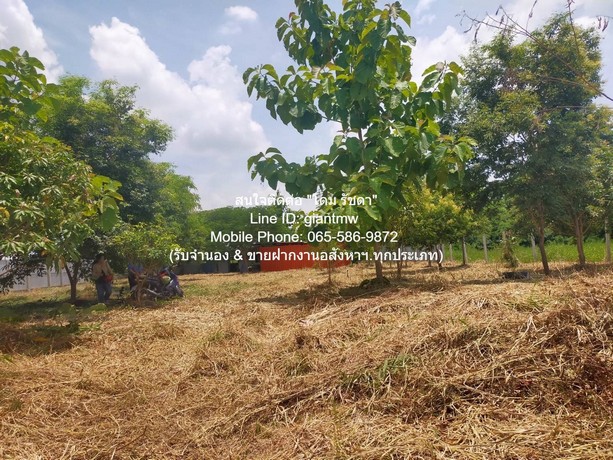 DSL-709 ขาย ที่ดิน ขายที่ดินเปล่า 1-0-14.5 ไร่ (414.5 ตร.ว.) ซ.สุวินทวงศ์ ใกล้สนามกอล์ฟฟินิกซ์ โกลด์ กอล์ฟ แบงค็อก ชั้นที่ 1 ใกล้กับ ใกล้สนามกอล์ฟฟินิกซ์ โกลด์ กอล์ฟ แบงค็อก (Phoen