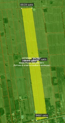 DSL-609 ขาย ที่ดิน ขายที่ดินทุ่งนาแปลงใหญ่ติดถนนใหญ่ อ.วังทอง จ.พิษณุโลก 53-3-98 ไร่ ราคา 13,498,750 บาท (250,000 บาท/ไร่) ชั้นที่ 1 13498750 บาท