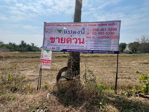 ที่ดิน 3 งาน 78.0 ตรว.ต.ขามทะเลสอ อ.ขามทะเลสอ จ.นครราชสีมา