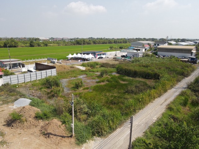 ที่ดิน - ใหญ่ 0 RAI 0 ngan 200 ตร.ว.  1250000 B. ใกล้กับ ตลาด อำเภอ คลอง10ลำลูกกา  ราคานี้หาไม่ได้แล้ว ถูกมาก ถนนกว้าง เหมาะทำโกดัง สร้างบ้าน 