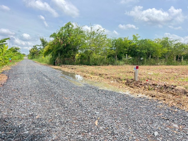 ที่ดิน -  10000 THB ใกล้ มอเตอร์เวย์ วัดปัญญานันทาราม คลองสี่ คลองหลวง ทำเลสวย ปทุมธานี   