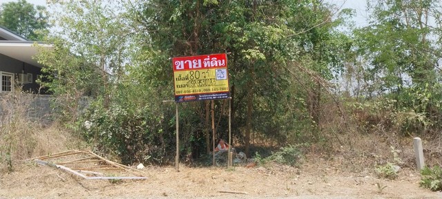 ที่ดินเปล่า 80 ตารางวา ใกล้ ม.หมู่บ้านชมสินทรัพย์ โซนหนองปลิง ราคาดี ทำเลน่าอยู่ อ.เมืองนครสวรรค์