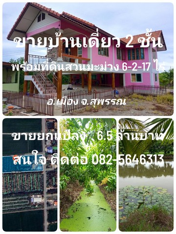 ขายบ้านเดี่ยว 2 ชั้น พร้อมที่ดิน อ.เมือง จ.สุพรรณบุรี  6 ไร่ 2 งาน 17 ตารางวา พร้อมสวนมะม่วงน้ำดอกไม้