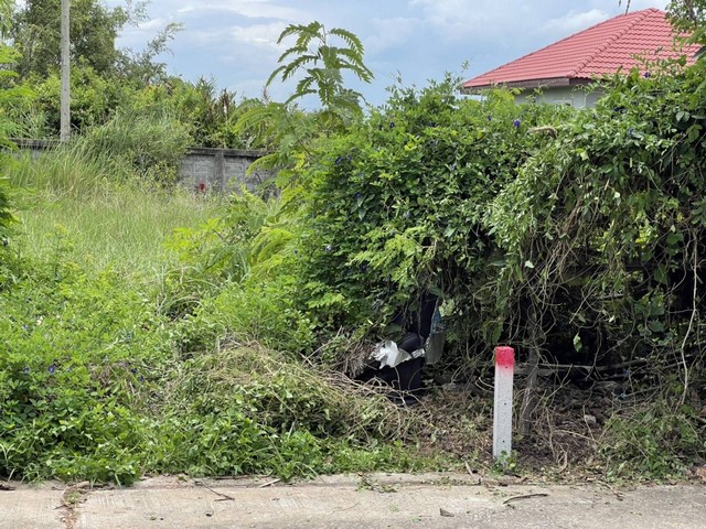  ที่ดิน บ้านสวนศรีปทุม  คลอง11 อ.หนองเสือ จ.ปทุมธานี เหมาะสำหรับสร้างที่อยู่อาศัย