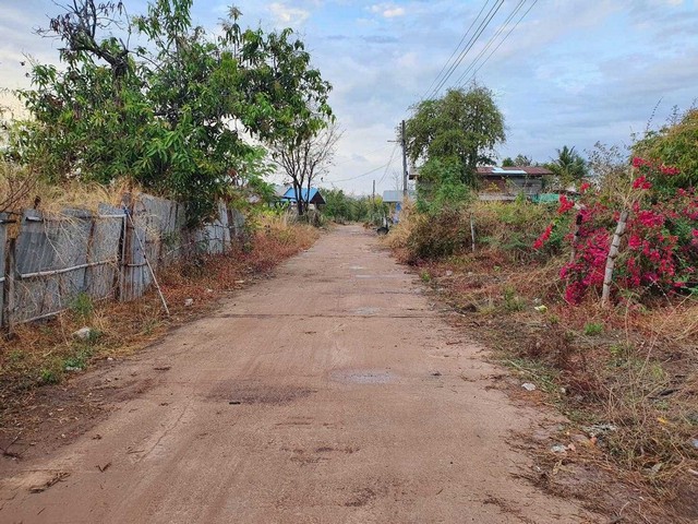 ขายที่ดินบ้านดุงอุดรธานี ขายที่ดินนาคำอุดรธานี ขายที่ดินบ้านดอนขี้เหล็ก