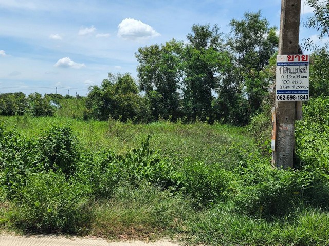 ที่ดิน - ใกล้กับ วัดธรรมกาย ตลาดไท 1000000 thb  0 RAI 0 NGAN 100 ตร.ว. ราคาดี ปทุมธานี   