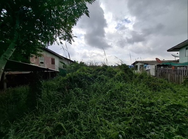 ขายที่ดินเปล่ารังสิต-นครนายก33ซอย1/4ใกล้ฟิวเจอร์รังสิต