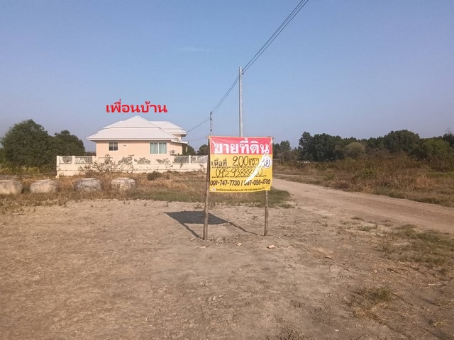 ขายที่ดินสวยทำเลดี  200 ตารางวา  คลองโคน  อัมพวา  ใกล้พระราม2  ฝั่งลงใต้  