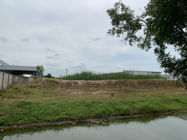 ขายที่ดินขนาด 2ไร่ 98ตรว ที่ถมแล้ว ในอมตะเฟส9 สีม่วงลาย ห่างจากแยกไฟแดงอมตะเฟส9และ10 เพียง600เมตร เหมาะทำโรงงาน พานทอง ชลบุรี