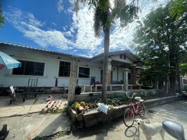 ขายบ้านเดี่ยวชั้นเดี่ยว คก.สวนเอก บางภาษี บางเลน นครปฐม
