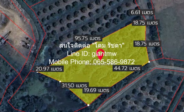 ขายที่ดินสวนลำไย ต.ขุนคง อ.หางดง จ.เชียงใหม่ (น.ส.4 จ) 2 ไร่, 2.5 ล้านบาท