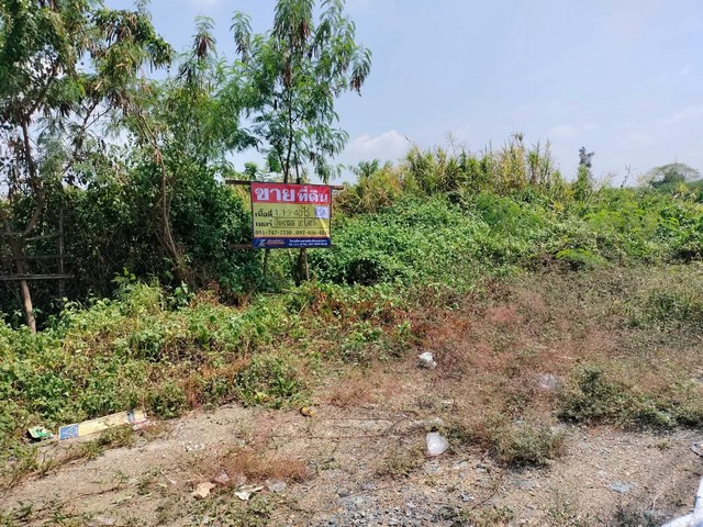 ที่ดินติดถนน 2-3-40 ไร่  2 แปลงติดกัน   ท่าทราย สวนส้ม บ้านเกาะ  เดินทางเข้า-ออก สะดวก  ใกล้ถนนพระราม2