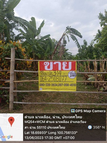 ขายที่ดินเปล่า0-3-14 ไร่ อยู่ในพื้นที่เขตชุมชนบ้านนาเหลือง อ.เวียงสา  จ.น่าน   ZN489