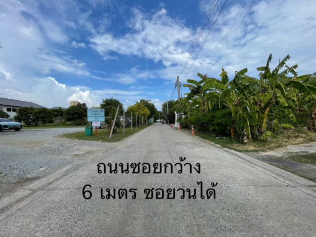 ขายที่ดิน แบริ่ง 31/1 สุขุมวิท 107 ใกล้ถนนแบริ่ง เนื้อที่ 260 ตรว.