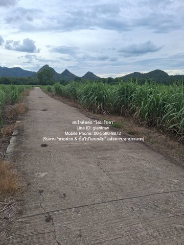 DSL-1351 ขาย ที่ดิน ขายที่ดินไร่อ้อย (น.ส.3 ก.) 19-2-21 ไร่ ต.ห้วยยาง อ.คอนสาร จ.ชัยภูมิ ราคา 9.78 ล้านบาท ชัยภูมิ    ใกล้กับ โรงเรียนคอนสารวิทยาคม 9780000 บาท 19 ไร่ 2 งาน 7821 ตร